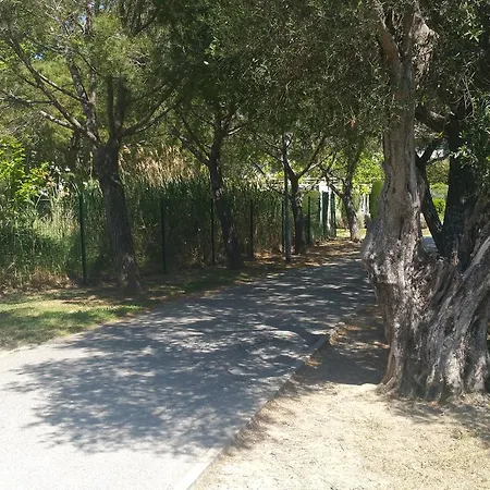 Apartman Domaine Flore Dauphin