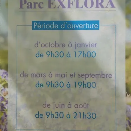 Apartman Domaine Flore Dauphin Juan-les-Pins